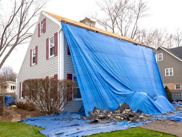 Shed Removal in Monroe, WA